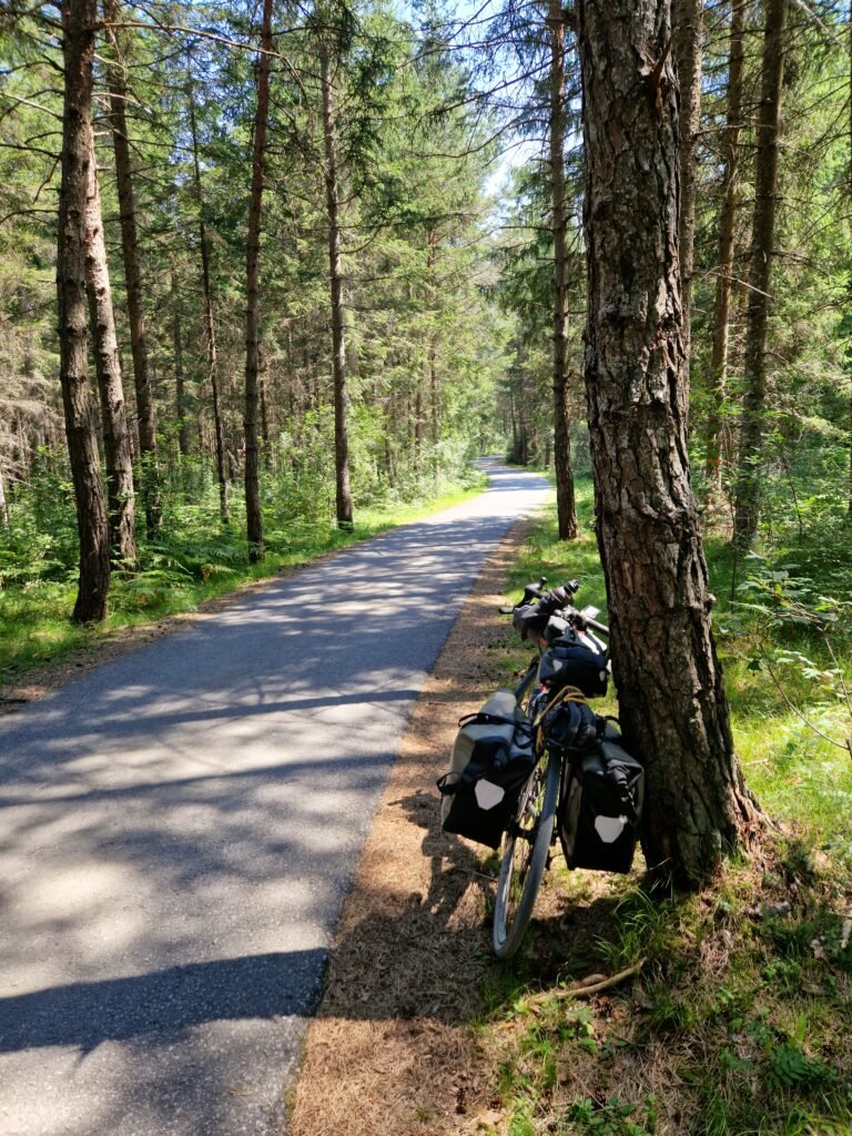 Pedalando nei boschi austriaci