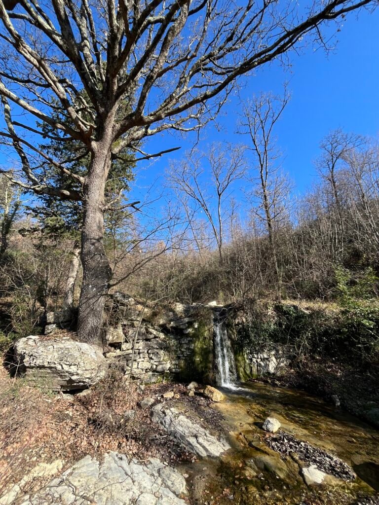 Lungo Il Cammino Del Torrente Zambra Monte Morello Km