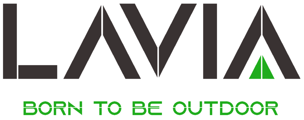 Logo LAVIA