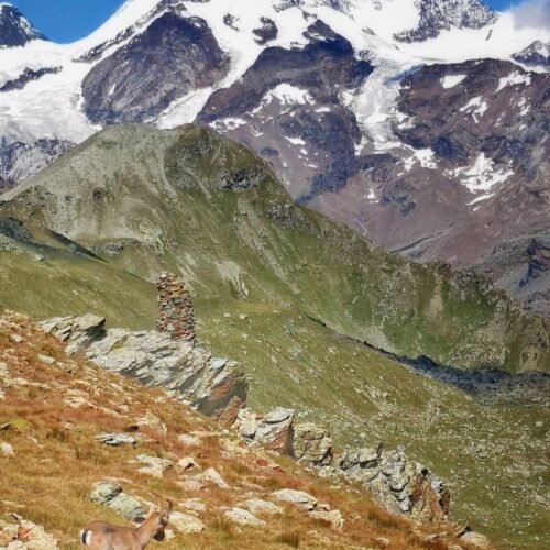 Becca Trecarè e Col de Nana da Chamois