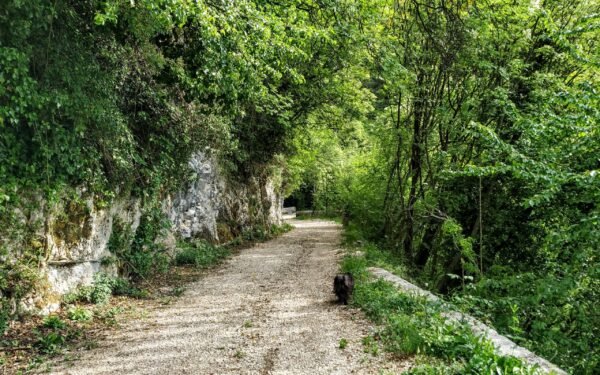 Trekking a Mezzomonte: i tesori della pedemontana pordenonese