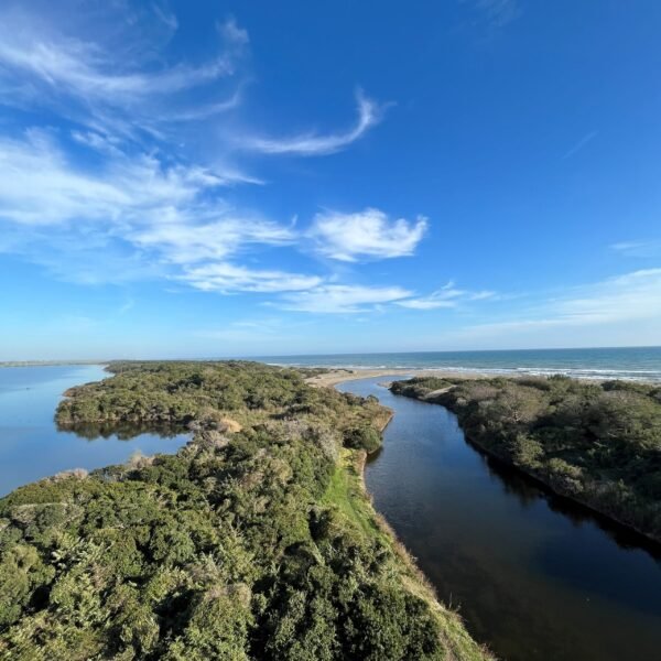 Escursione nella Riserva Naturale Oasi WWF Lago di Burano