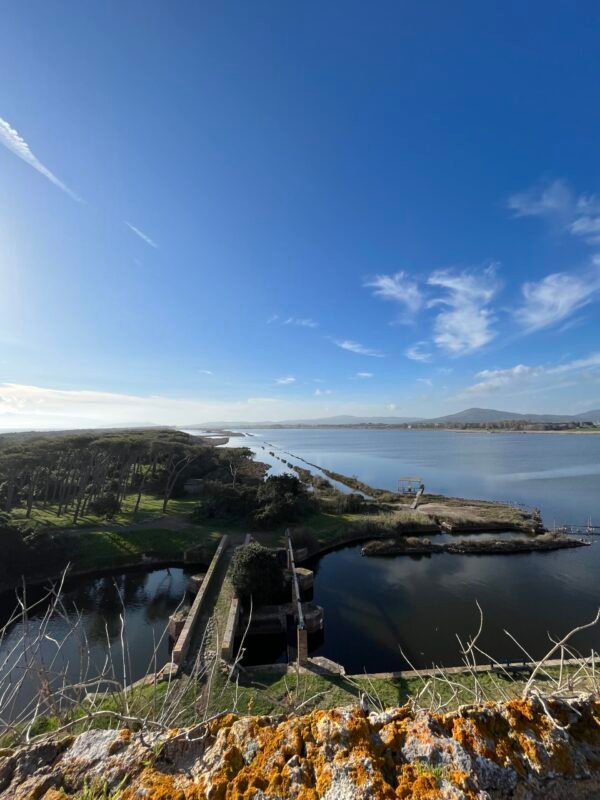 Escursione nella Riserva Naturale Oasi WWF Lago di Burano