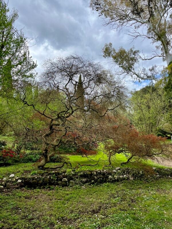 Viaggio nel pittoresco Giardino di Ninfa a Cisterna di Latina