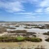 "Circumpedalata" gravel dell'Isola Clodia nella Riserva Naturale della Diaccia Botrona