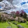 Viaggio nel pittoresco Giardino di Ninfa a Cisterna di Latina