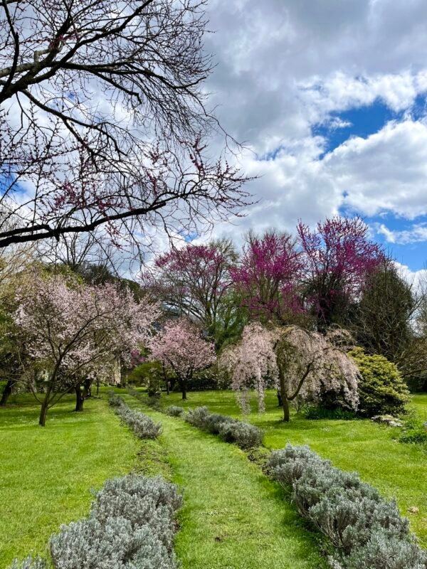 Viaggio nel pittoresco Giardino di Ninfa a Cisterna di Latina