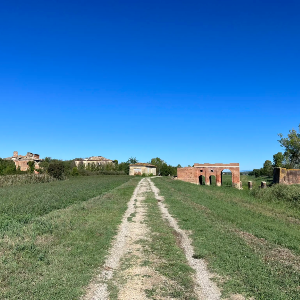 Il Sentiero della Bonifica in bici, alla scoperta degli Etruschi! Da Chiusi ad Arezzo - Scarica la Traccia GPX