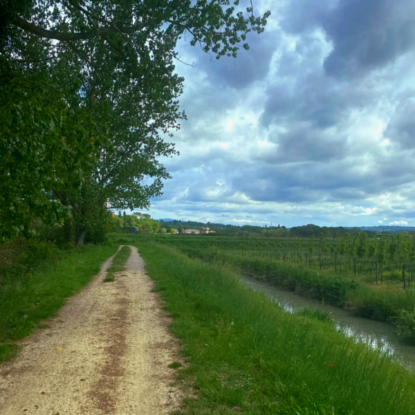 Il Sentiero della Bonifica in bici, alla scoperta degli Etruschi! Da Chiusi ad Arezzo - Scarica la Traccia GPX