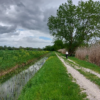 Il Sentiero della Bonifica in bici, alla scoperta degli Etruschi! Da Chiusi ad Arezzo - Scarica la Traccia GPX