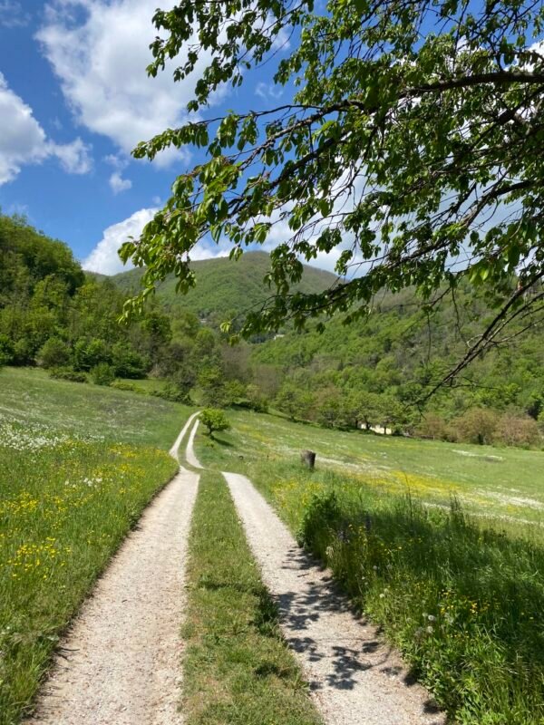 Escursione ad anello in MTB alle Grotte di Labante