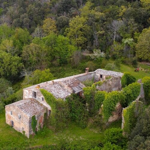 Maremma - Escursione nei boschi di Montorsaio: alla ricerca del Convento di San Benedetto alla Nave