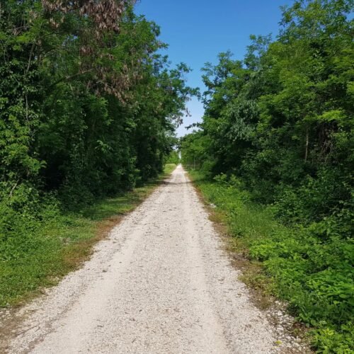 LAVIA | Pista ciclabile LA TRADOTTA | Traccia GPX