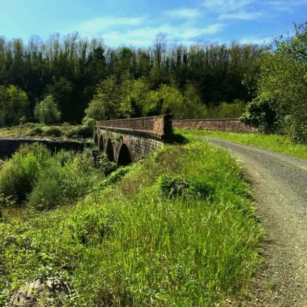 LAVIA | Traccia GPX Lunigiana Gravel, un itinerario a tappe, tra natura e storia, tra borghi e castelli, che porta alla scoperta di tutto il territorio della Lunigiana.