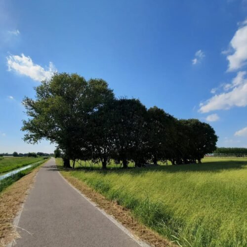 LAVIA | Traccia GPX Cicloturismo Veneto | La Ciclovia delle Risorgive, dall'Adige al Mincio