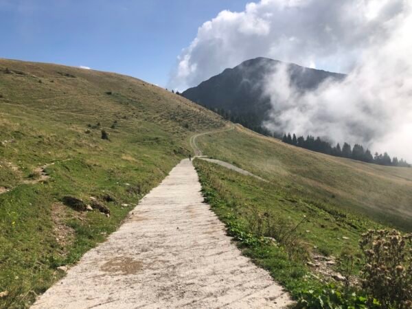 Sul Monte Zoncolan in MTB | Traccia GPX | LAVIA