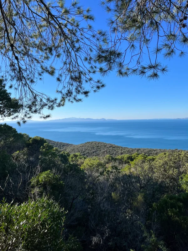 Escursione Bandite di Scarlino | Traccia GPX | Maremma | LAVIA