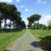 L'Appia Antica in bici | Cicloturismo | Roma | Traccia GPX | LAVIA