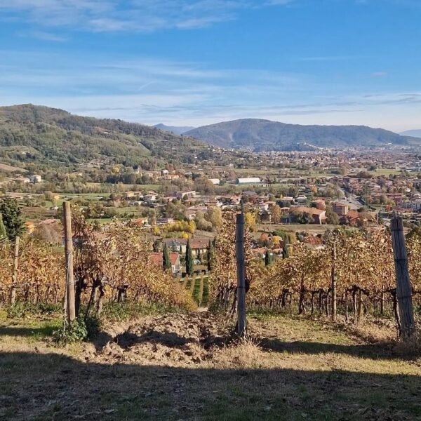 Gravel tra le vigne bergamasche | Bergamo | Pietro Franzese | LAVIA