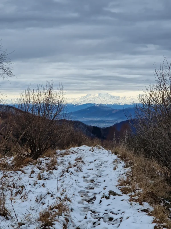 Dall’Alpe del Vicerè al Monte Boletto (passando dal Bolettone) | Traccia GPX | Escursioni Lombardia | LAVIA | Pietro Franzese