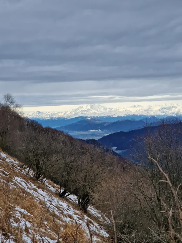 Dall’Alpe del Vicerè al Monte Boletto (passando dal Bolettone) | Traccia GPX | Escursioni Lombardia | LAVIA | Pietro Franzese