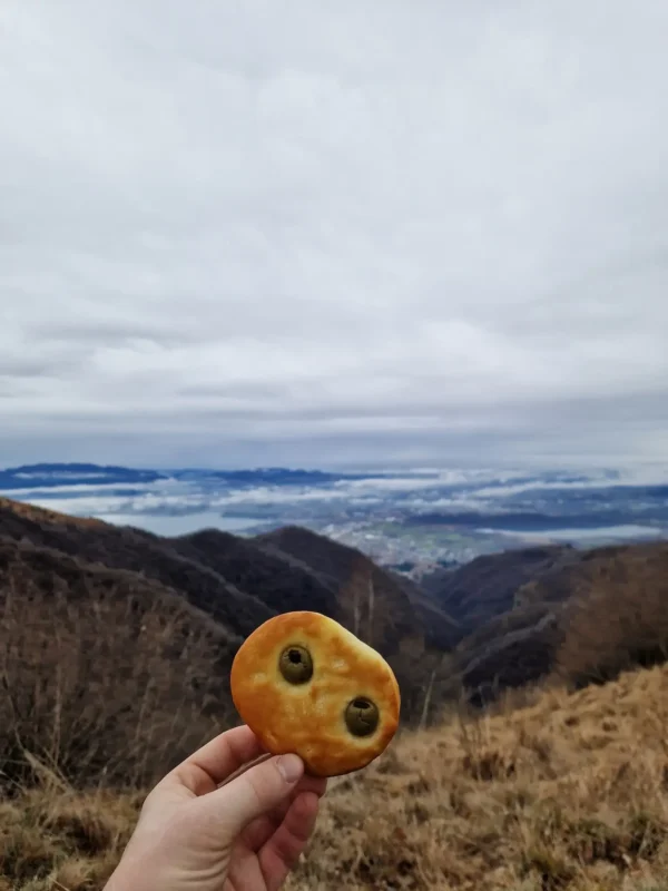 Dall’Alpe del Vicerè al Monte Boletto (passando dal Bolettone) | Traccia GPX | Escursioni Lombardia | LAVIA | Pietro Franzese