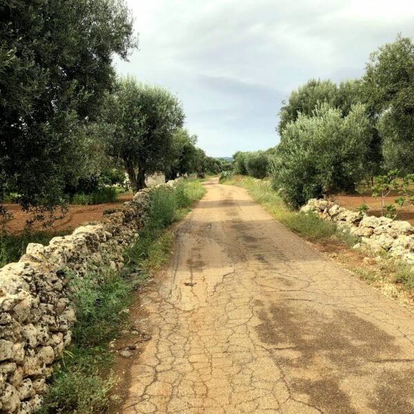 La Via Traiana in bici, da Monopoli a Ostuni | Cicloturismo Puglia | Traccia GPX | LAVIA