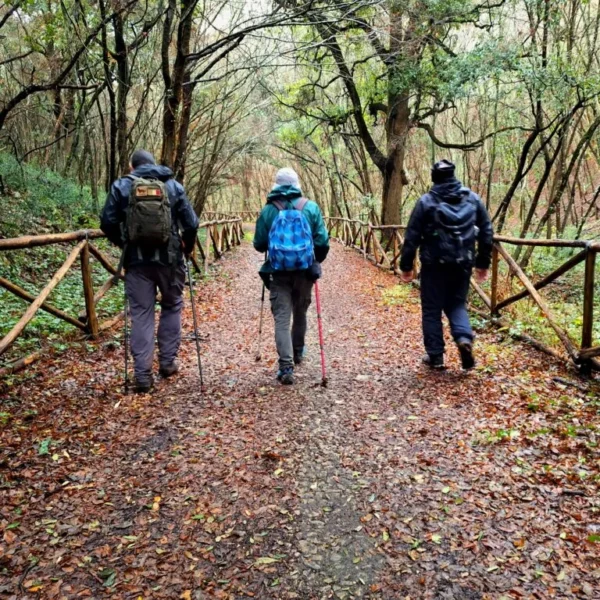 Escursione nel bosco delle Pianelle | Puglia | Traccia GPX | Escursione