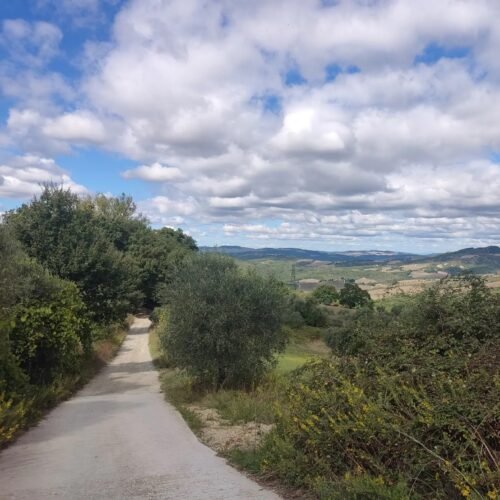 Il Grand Tour della Val di Merse | Traccia GPX | Cicloturismo | Toscana