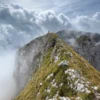 Anello del Pizzo di Petto e Monte Vigna Vaga | Traccia GPX | LAVIA