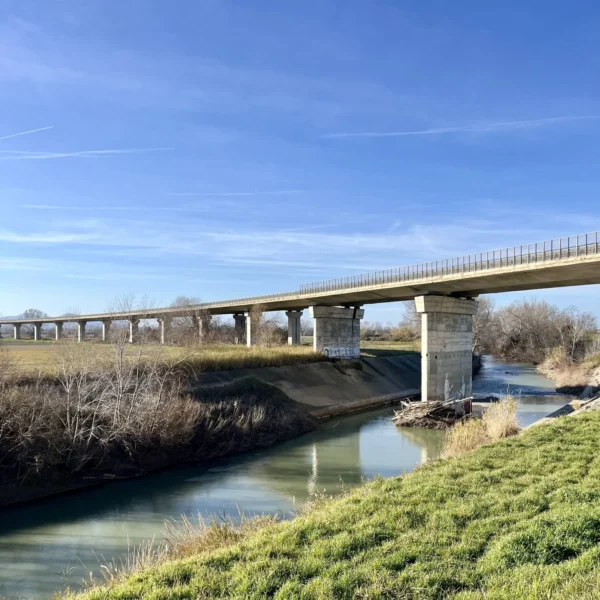 Dogwalking sull'argine del fiume Ombrone fino a Ponte Tura | Traccia GPX | Toscana | LAVIA