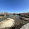 Dogwalking sull'argine del fiume Ombrone fino a Ponte Tura | Traccia GPX | Toscana | LAVIA