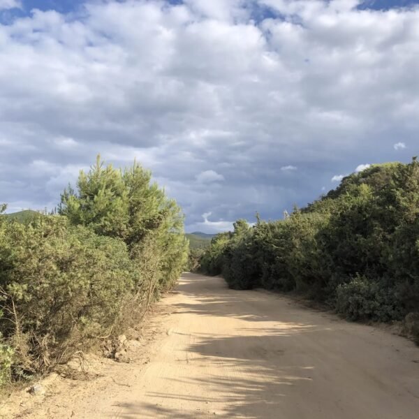 Gravel tra le miniere nel Parco Geominerario della Sardegna