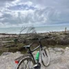 Il Parco della Maremma in bici | Traccia GPX | LAVIA