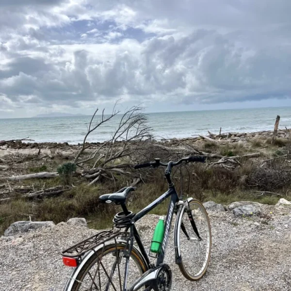 Il Parco della Maremma in bici | Traccia GPX | LAVIA