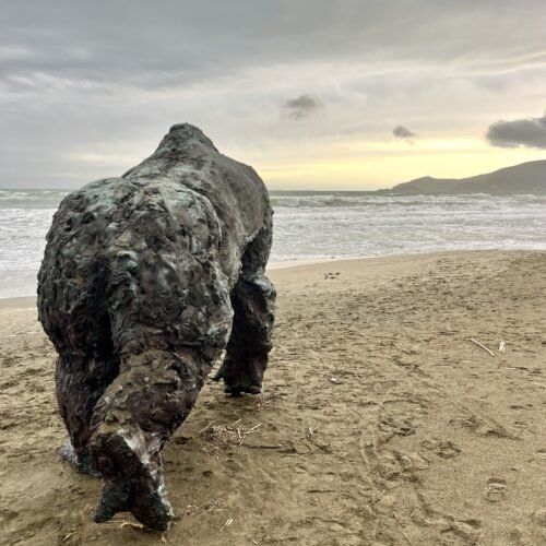 Il Gorilla di Davide Rivalta sulla spiaggia della Feniglia | LAVIA