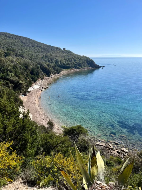 La Traversata dell'Uccellina | Parco della Maremma | Traccia GPX | LAVIA