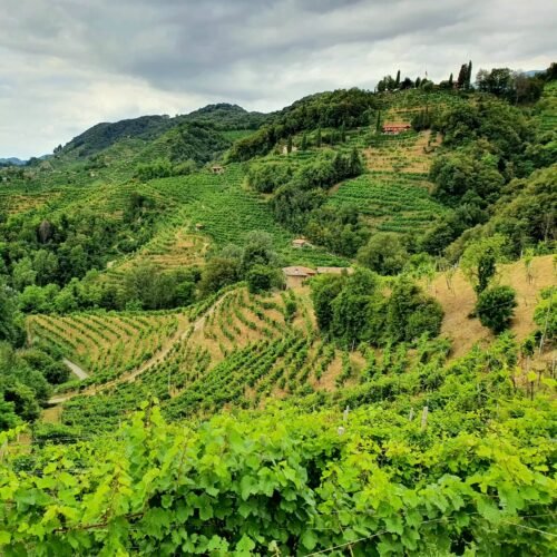 Il Cammino delle Colline del Prosecco | LAVIA | Traccia GPX