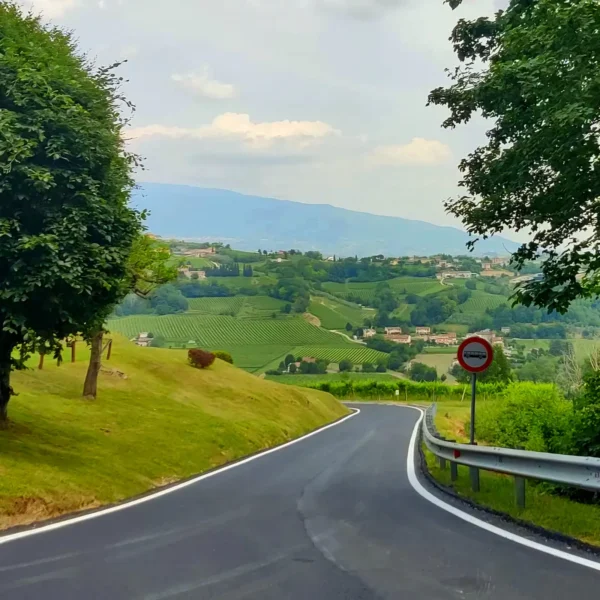 Sulle Colline del Prosecco in bici