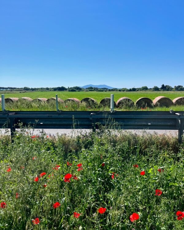 Bike Tour in Maremma | Traccia GPX | LAVIA