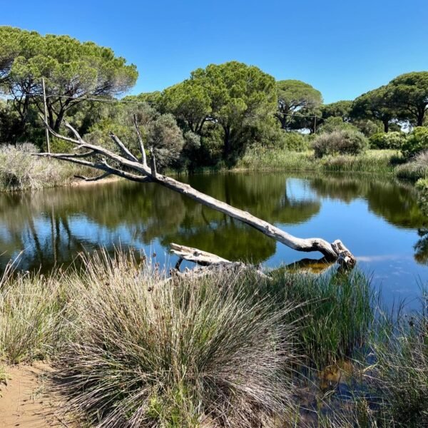 Bike Tour in Maremma | Traccia GPX | LAVIA