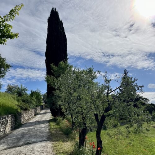 Anello della Fonte della Fata Morgana | Escursione Firenze | Traccia GPX | LAVIA