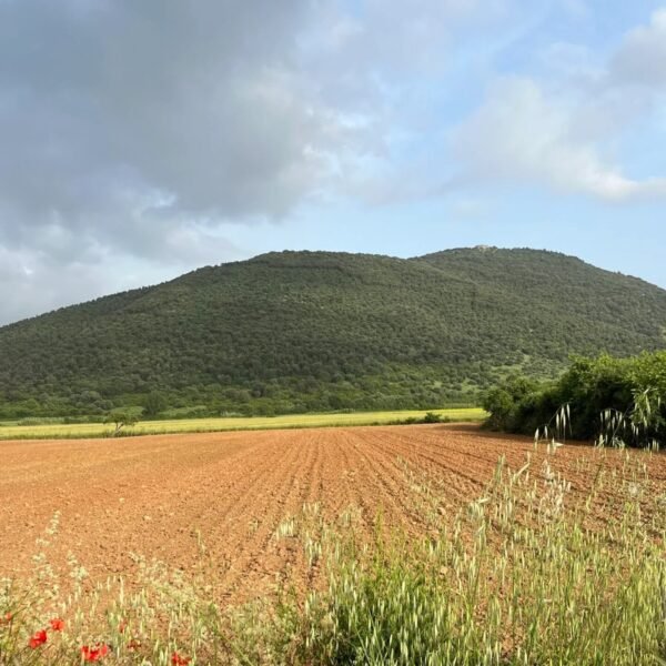 Tour delle piste ciclabili di Grosseto | Traccia GPX | LAVIA