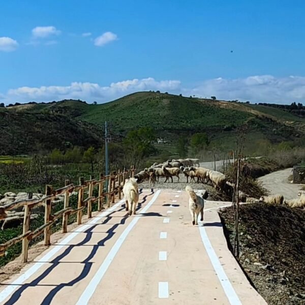 Ciclopedonale della Val di Neto | Traccia GPX | Calabria | LAVIA