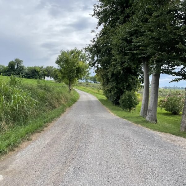 Ciclovia delle Colline Moreniche del Garda | Traccia GPX | LAVIA