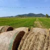 Pedalata cicloturistica alla Fonte del Tiburzi | Grosseto | Traccia GPX | LAVIA