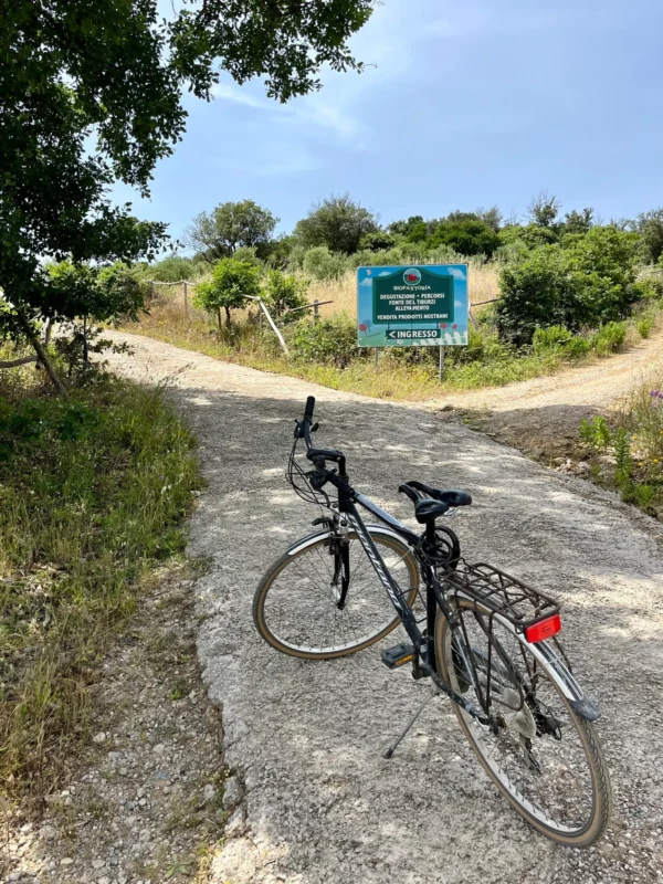 Pedalata cicloturistica alla Fonte del Tiburzi | Grosseto | Traccia GPX | LAVIA