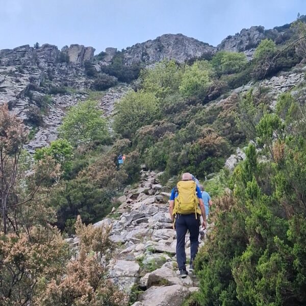 Sentiero 101, da Marciana al Monte Capanne | LAVIA