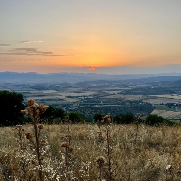 Escursione al Tino di Moscona | Traccia GPX | LAVIA