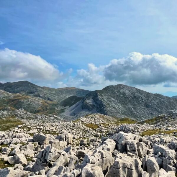 Monte Forcellone